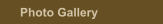Photo Gallery